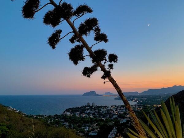 UN LUGAR EN LA CUMBRE