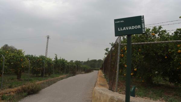 Benidorm aprueba un proyecto para mejorar la iluminación en caminos de partidas rurales 