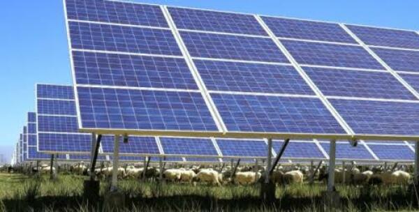 La transici&oacute;n energ&eacute;tica europea cobra impulso con el proyecto fotovoltaico de Ruman&iacute;a en Arad
