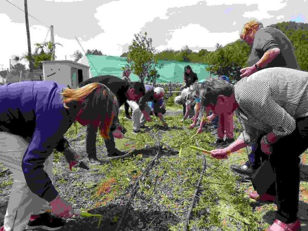 La Nuc&iacute;a &middot; 74 personas participaron en la V Jornada de la 3&ordf; Edad en el CEM