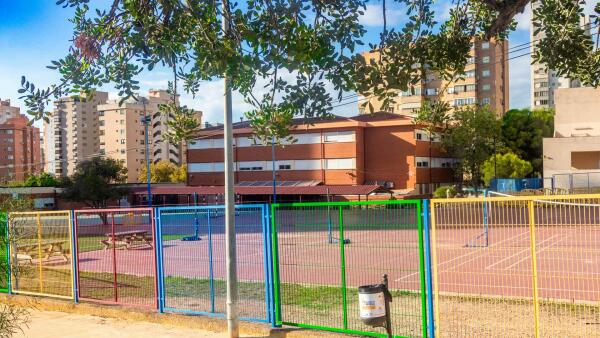 Benidorm planta un centenar de &aacute;rboles en los patios de tres colegios para ampliar las zonas de sombra y mejorar el confort