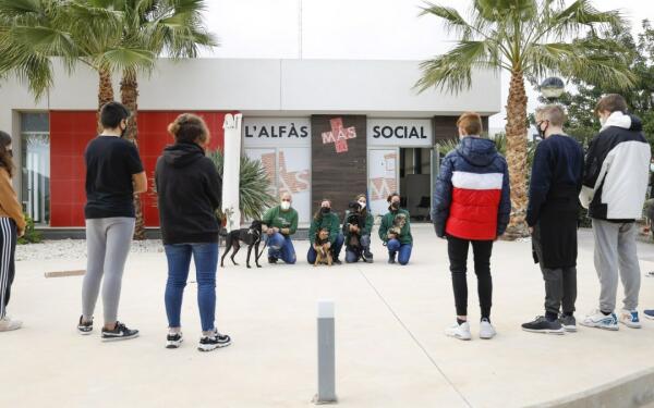 L’Alfàs reanuda el programa ‘Eduka-dogs’ de terapia asistida con perros para jóvenes del IES L’Arabí