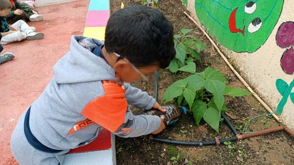 Benidorm convoca el primer concurso para elegir el Huerto Escolar más Sostenible de la ciudad