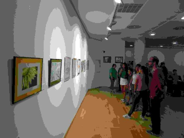 La Nuc&iacute;a &middot; Los alumnos del Instituto exponen en l&rsquo;Auditori