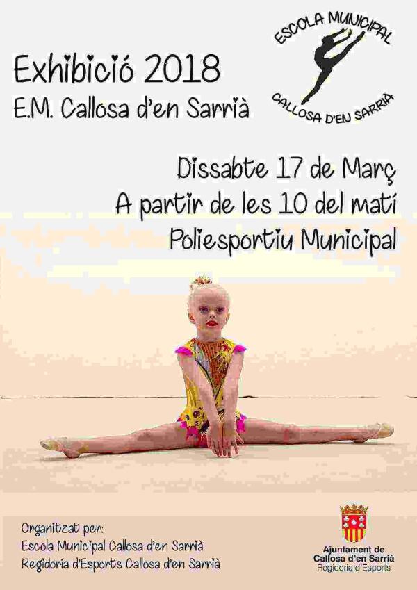 Callosa &middot; Exhibici&oacute;n de gimnasia r&iacute;tmica este s&aacute;bado en el Polideportivo Municipal 