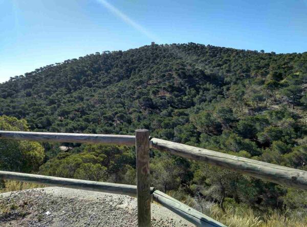 La Excma. Diputación Provincial de Alicante subvenciona la redacción del Plan Local de Prevención de Incendios Forestales de Villajoyosa 