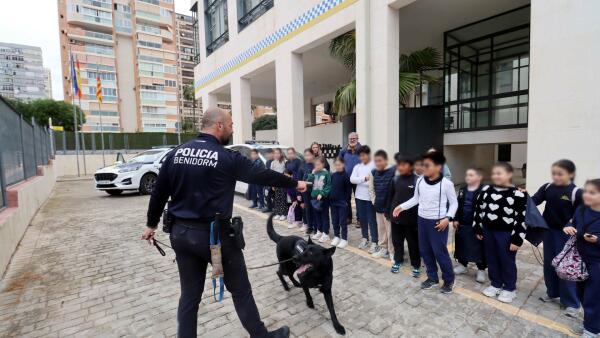 La Polic&iacute;a Local de Benidorm acerca su trabajo a cientos de escolares en sus jornadas de puertas abiertas