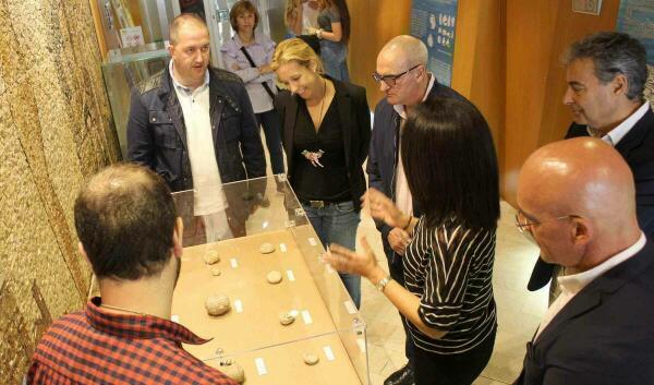 La Biblioteca Municipal de Benidorm acoge una exposici&oacute;n con una selecci&oacute;n de f&oacute;siles del Patrimonio Paleontol&oacute;gico