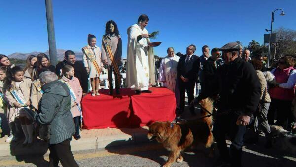 Benidorm celebra esta semana las fiestas en honor a Sant Antoni Abat en la Ermita de Sanz  