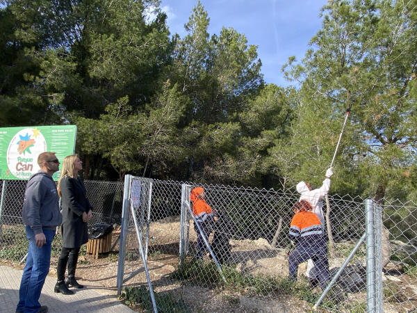 Comienza la campaña hibernal contra la Procesionaria del Pino