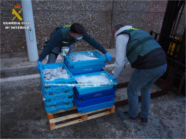 La Guardia Civil interviene 110 kilogramos de pescado ilegal en Altea 