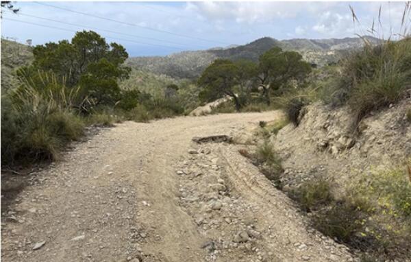Villajoyosa ejecutar&aacute; medidas para la prevenci&oacute;n de incendios en dos zonas forestales con una inversi&oacute;n de m&aacute;s de 35.000 euros 
