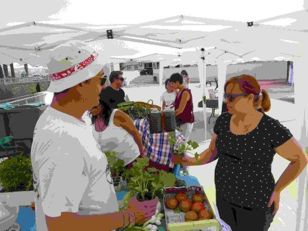 El Mercat de la Terra fusion&oacute; Yoga y agroecolog&iacute;a 