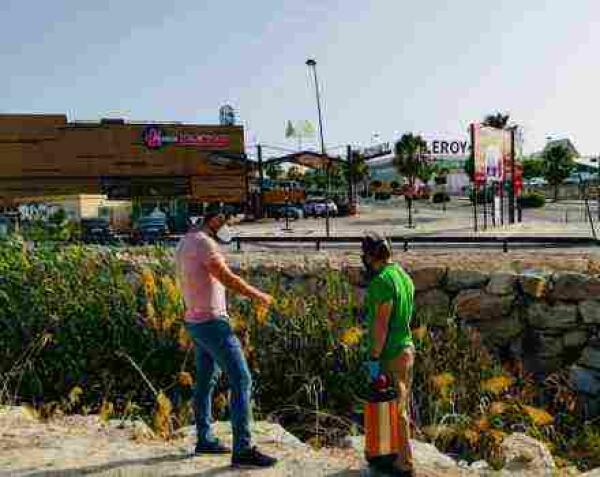Finestrat activa un año más el plan de acción contra la proliferación del mosquito tigre