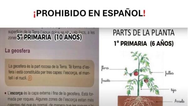 PP y VOX de la Comunidad Valenciana, ¡queremos que también se imparta Conocimiento del Medio en lengua materna! ¡Miren cuántas cosas dejarían de aprender los niños si la ley se aplica tal y como pretenden! 