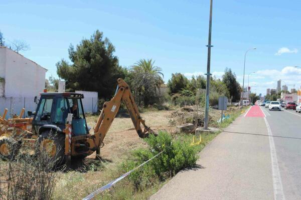 Benidorm // Escena Urbana adecúa el entorno del cruce de ‘l’Estanquet’ y estudia plantar más palmeras en la Comunidad Valenciana