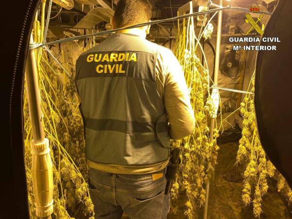 La Guardia Civil desmantela una plantaci&oacute;n de marihuana ubicada en un chalet de lujo de Altea 