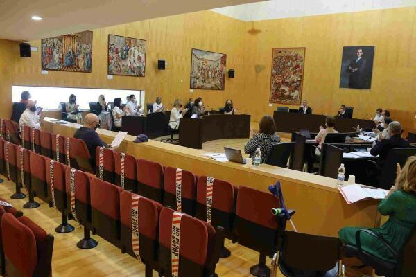 El pleno viabiliza la primera inyección ‘extra’ de 500.000 euros para las ayudas a familias