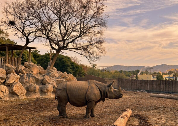 Terra Natura Benidorm lanza &lsquo;Sunset Experience&rsquo; con visitas guiadas en grupos reducidos por el parque al atardecer