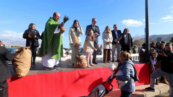 La Festa de Sant Antoni ultima los preparativos para festejar en Benidorm al patrón de los animales