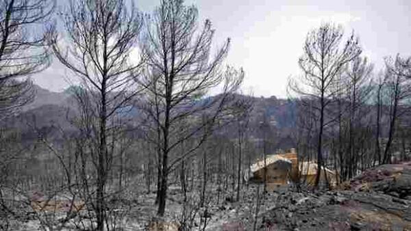 La Generalitat dar&aacute; ayudas a los afectados por el incendio de Gandia sin limitaciones por su renta