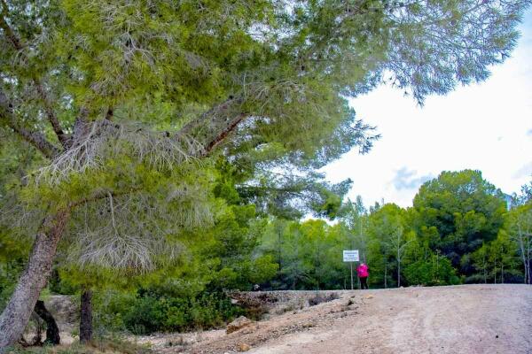 Benidorm diseña sus senderos de montaña y BTT a través de 42 caminos del Moralet 