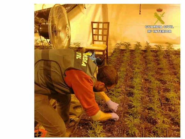 La Guardia Civil desarticula una organización criminal dedicada al tráfico de drogas asentada en L’Alfàs del Pi
