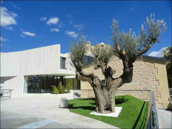 La Nuc&iacute;a &middot; Concurso de Fotograf&iacute;a, Excursi&oacute;n a Albacete y Psicomotricidad en la programaci&oacute;n de 3&ordf; Edad de noviembre 