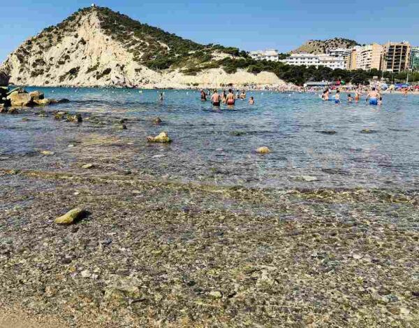 Resultados analíticas arena y agua de la playa de la Cala de Finestrat 
