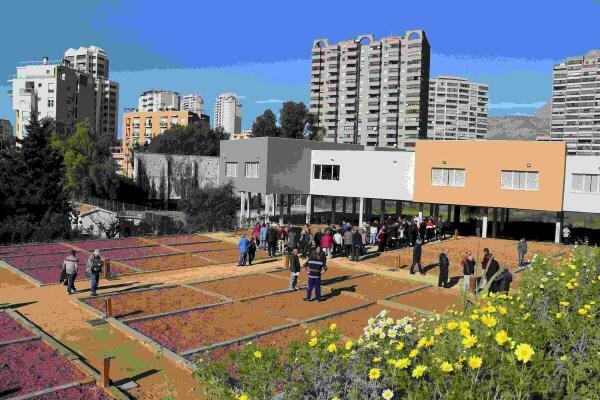 Benidorm · Medio Ambiente abre los nuevos huertos urbanos de La Cala