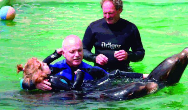 Comienzan las terapias con leones marinos con el inicio de temporada de Aqua Natura Benidorm