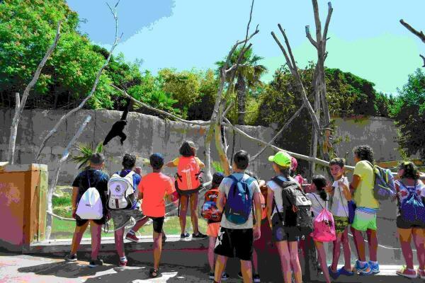 Terra Natura Benidorm se suma a la celebraci&oacute;n del D&iacute;a Internacional de la Educaci&oacute;n Medioambiental
