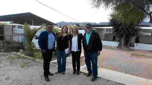 CONTIGO retomar&aacute; el proyecto fallido de una nueva Protectora de Animales para Benidorm 