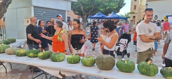 Villajoyosa celebra su tradicional concurso de calabaza vilera en la Ermita