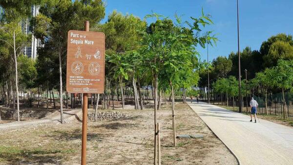 Benidorm invierte 50.000 euros en la plantación de nuevo arbolado en parques y vías urbanas 