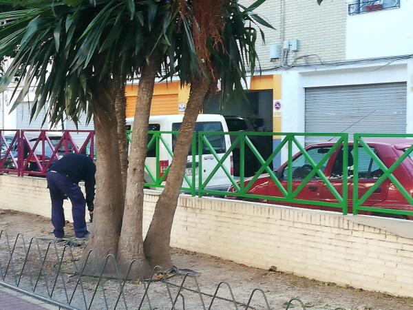 El Ayuntamiento de la Vila Joiosa comienza los arreglos de mejora en el parque Botánico 