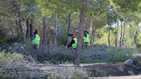 Benidorm licita el proyecto para el desarrollo de actuaciones contra incendios en parque urbano de El Moralet 