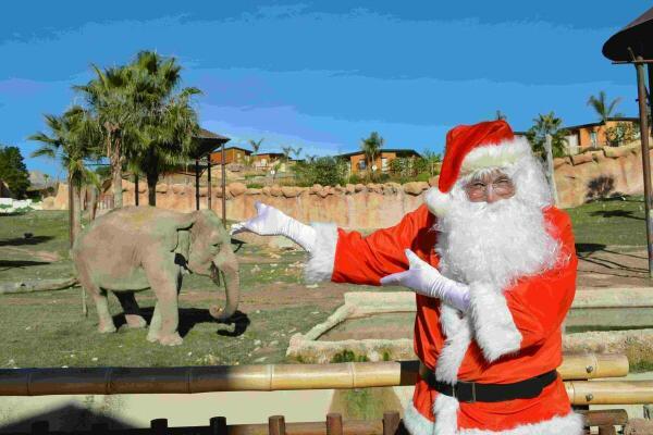 El Hada de hielo y los duendes del reciclaje, protagonistas de las actividades navide&ntilde;as de Terra Natura Benidorm