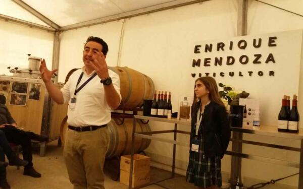 Bodegas Mendoza sit&uacute;a l&rsquo;Alf&agrave;s como destino de enoturismo