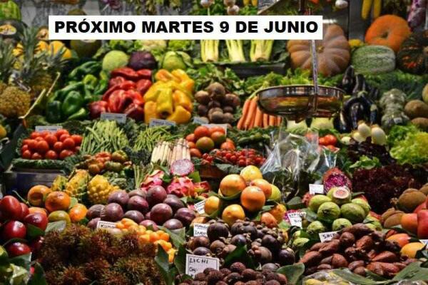 Mercadillo de los Martes en Callosa d&acute;en Sarria.