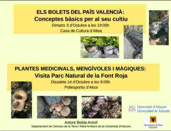Altea &middot; La Concejal&iacute;a de Medio Ambiente presenta una jornada sobre el cultivo de setas 