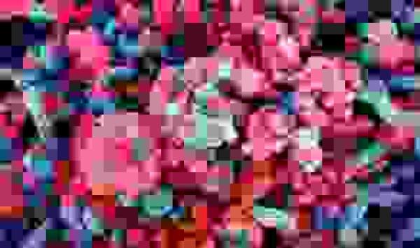 La vacuna contra el covid-19 que desarrolla la Universidad de Oxford 'parece segura' 