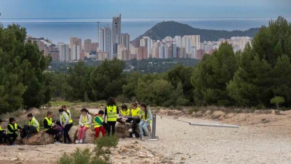 Alumnos de los colegios Gabriel Miró y La Cala plantan 200 ejemplares en El Moralet por el Día del Árbol 