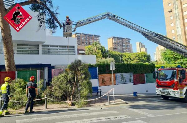 ASISTENCIA TÉCNICA EN BENIDORM 