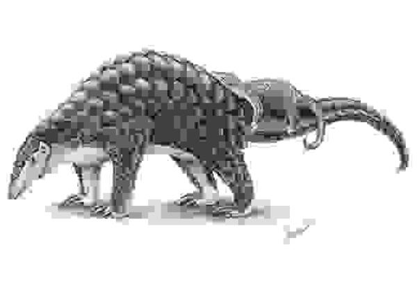 La exposición de Illustraciencia llega a Altea