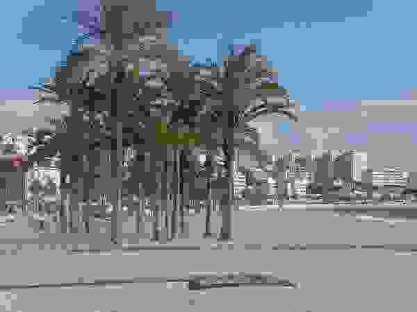 La Vila Joiosa mantiene las cinco banderas azules que consigui&oacute; el a&ntilde;o pasado