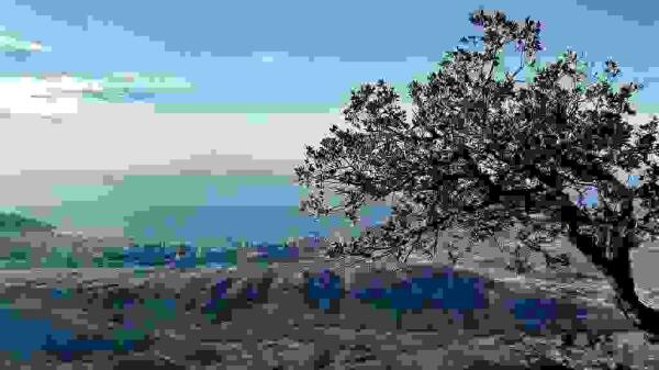 Finestrat &middot; La Concejal&iacute;a de Turismo programa una ruta a la cima del Puig Campana para este s&aacute;bado 27 de enero 