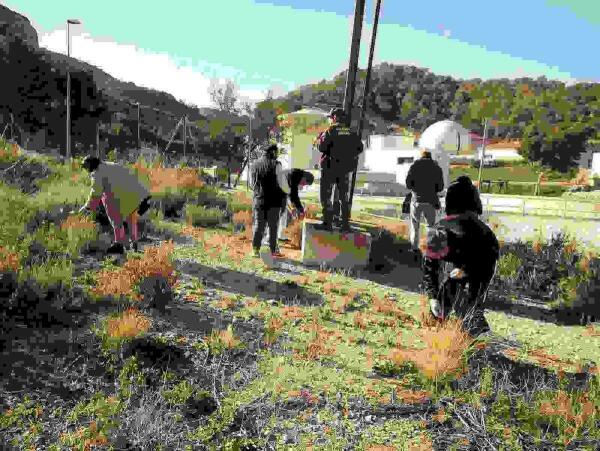 Voluntarios del CEEM Benidorm colaboran en la limpieza del Parque Natural de la Serra Gelada