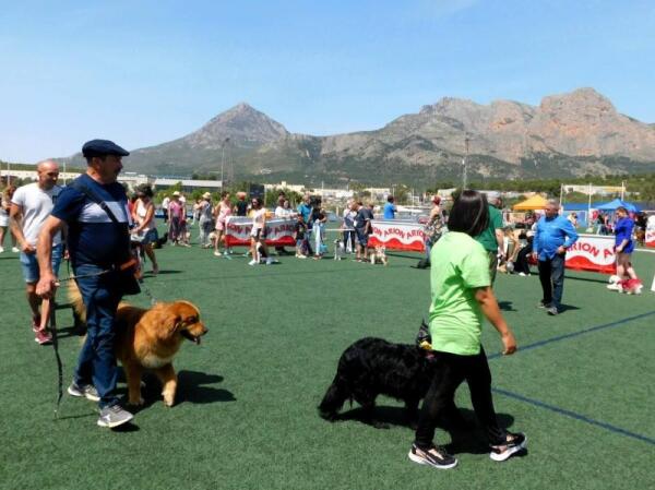 La Nucía albergó el X Concurso Nacional Canino