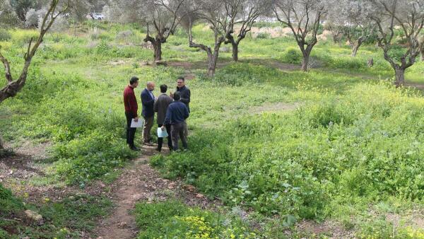 Benidorm incluirá un parque inundable en el proyecto de renaturalización del barranco Barceló  